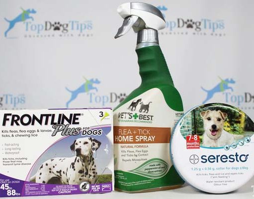 3 Best Flea and Tick Treatments for Dogs Compared: Frontline vs. Seresto vs. Vet’s Best Best Flea and Tick Treatment for Dogs Review