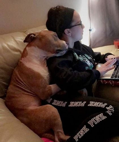 Check Out This Dog Who Can’t Stop Snuggling Her Rescuer