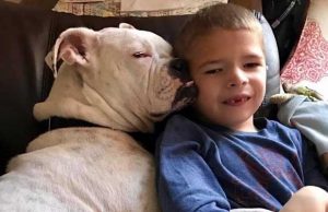 Deaf Dog and Non-Verbal Boy Learned to Speak Through Sign Language Deaf Dog and Boy