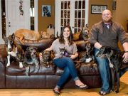 Dog Parents Build Enormous Dog Bed for 8 Rescue Pups Dog Megabed