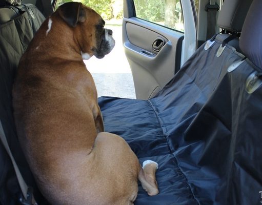 Review: Pettom Dog Car Seat Cover Pettom Dog Car Seat Cover