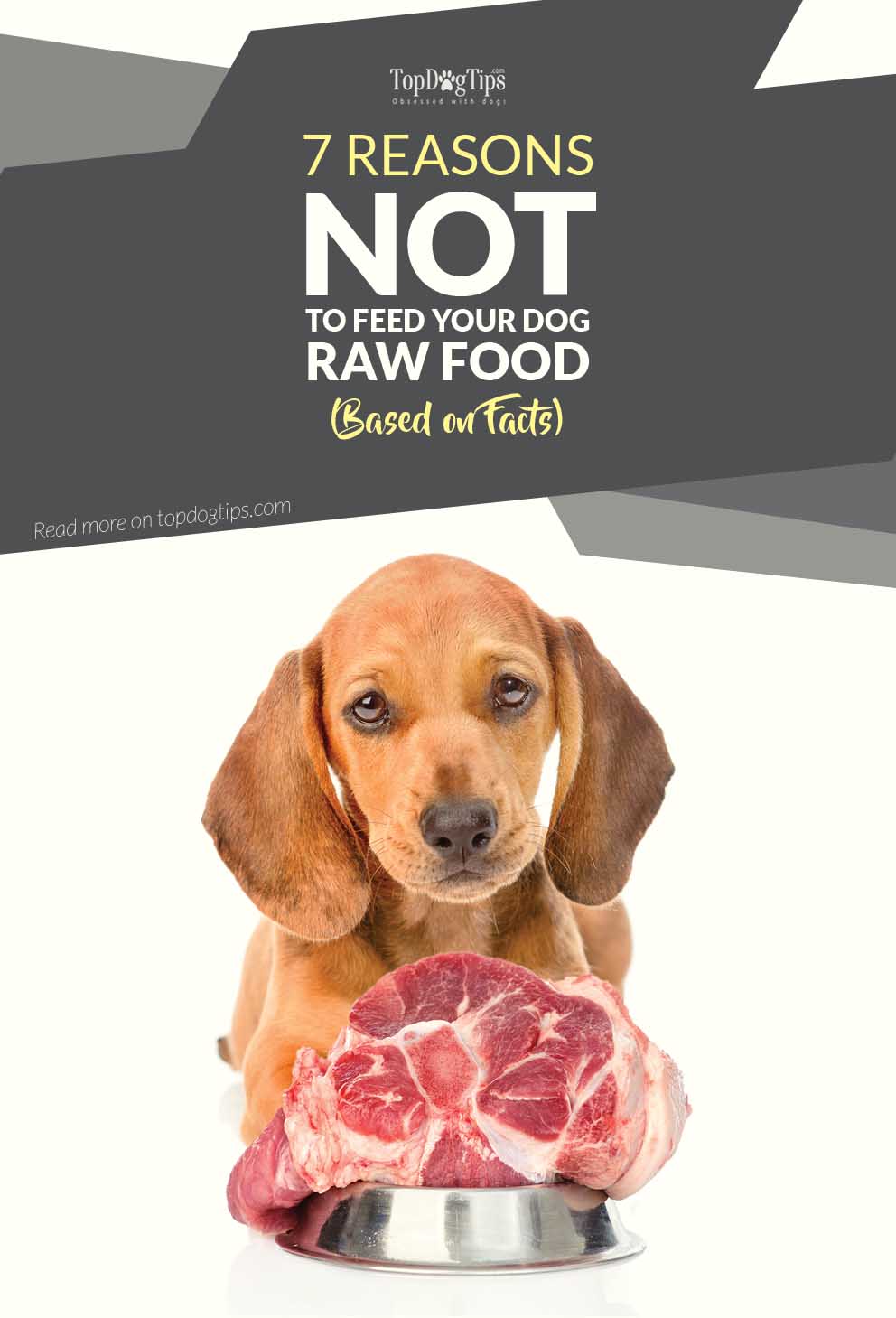 how do you feed a puppy raw meat