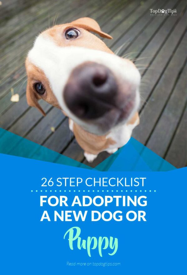 26 Step Checklist For Adopting A New Dog Or Puppy How To Do It Right Step Checklist For Adopting A New Dog Or Puppy 600x882 