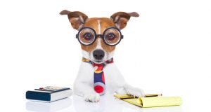 should at many work claim dependents how i & Effective Brushing Dog Fast 6 for Step Teeth Checklist