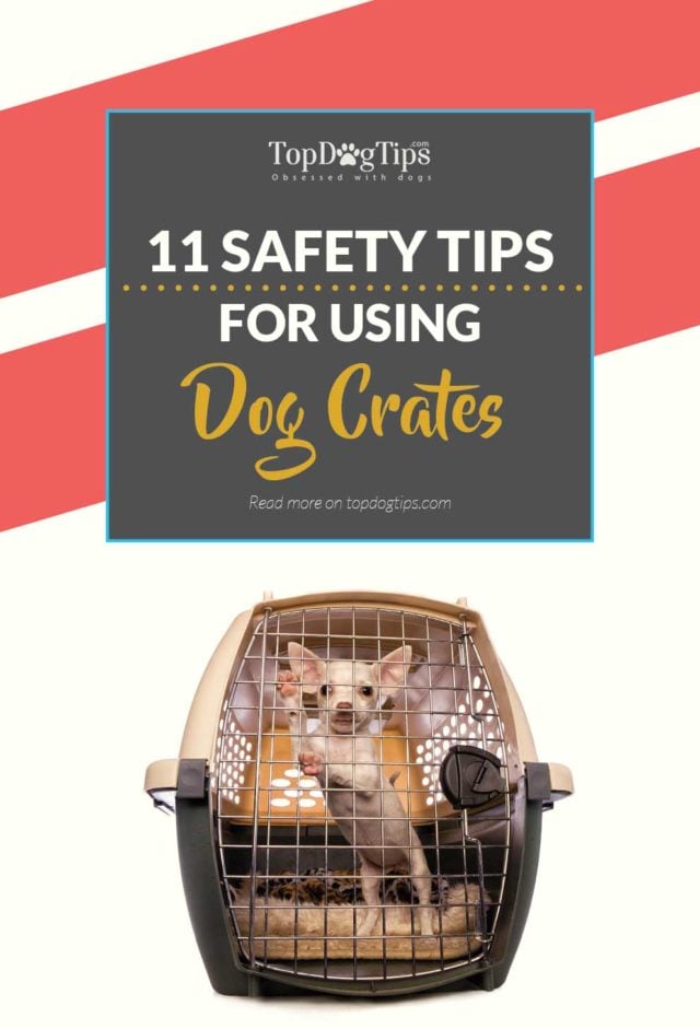 11 Dog Crate Safety Tips [Infographic] – Top Dog Tips