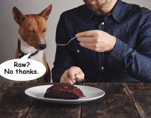 7 Reasons NOT to Feed Your Dog Raw Dog Food Why you should not feed raw dog food diet featured image