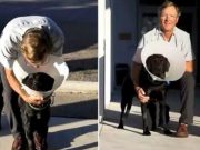 Hero Jumps Into Pond To Save Friend’s Dog From Alligator Hero Jumps Into Pond To Save Friend’s Dog From Gator