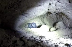 Watch as Brave Rescuers Save 9 Puppies from A Tiny Cave Watch as Brave Rescuers Save 9 Puppies from Tiny Cave!