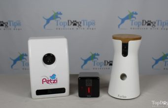Best Dog Camera Comparison: Petzi vs. Petcube vs. Furbo Best Dog Camera Comparison