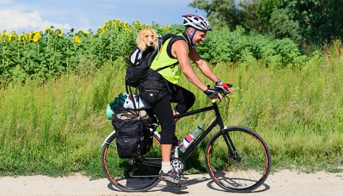 best dog backpack for cycling