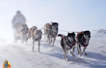 TOP #19: Don’t Judge a Dog By His Bark ft. Richie Camden Don't Judge Dog by His Bark