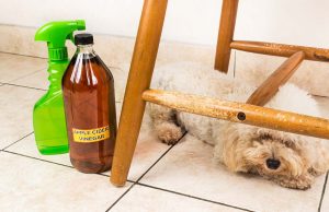 How to Make Homemade Pet-Friendly Cleaners How To Make Homemade Cleaners That Are Safe for Dogs