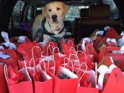 Service Dogs Trained by Inmates Give Valentine’s Day Surprise Service Dogs Trained by Inmates Give Valentine’s Day Surprise