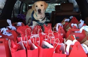 Service Dogs Trained by Inmates Give Valentine’s Day Surprise Service Dogs Trained by Inmates Give Valentine’s Day Surprise