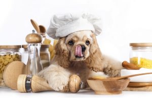 Recipe: Low-Fat Homemade Dog Food Low-Fat Homemade Dog Food Recipe