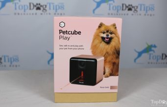 Review: Petcube Play Dog Camera Petcube Play Dog Camera Giveaway