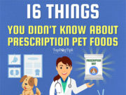 16 Things About Prescription Dog Foods You Didn’t Know Prescription Dog Foods