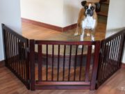 Review: Primetime Petz 360 Configurable Dog Gate Primetime Petz 360 Configurable Pet Gate Review