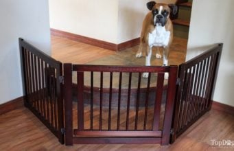 Review: Primetime Petz 360 Configurable Dog Gate Primetime Petz 360 Configurable Pet Gate Review