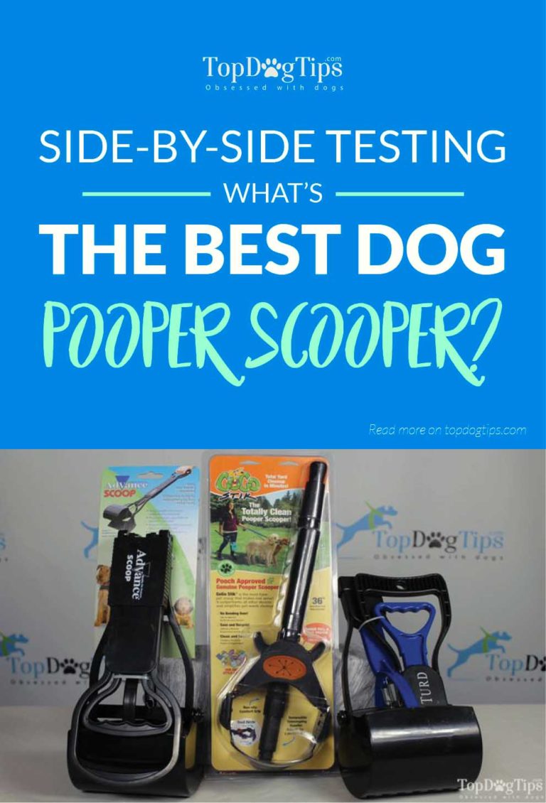 3 Best Dog Pooper Scooper Review & Tests (2017 Comparison)