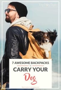 Top Best Dog Carrier Backpacks