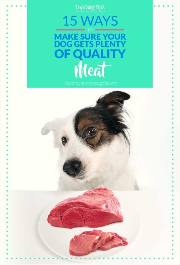 15 Ways to Ensure Your Dog Gets Only GOOD Quality Meat [Infographic]