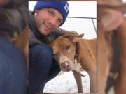 Hot Guy Adopts Sick Senior Dog, Breaks Internet Hot Guy Adopts Sick Senior Dog, Breaks Internet