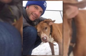 Hot Guy Adopts Sick Senior Dog, Breaks Internet Hot Guy Adopts Sick Senior Dog, Breaks Internet