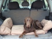 Review: Backseat Barker Dog Bed for SUVs Backseet Barker Dog Bed Review