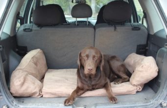 Review: Backseat Barker Dog Bed for SUVs Backseet Barker Dog Bed Review