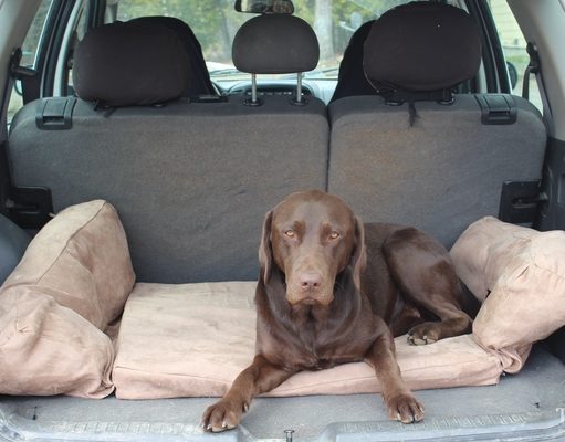 Review: Backseat Barker Dog Bed for SUVs Backseet Barker Dog Bed Review
