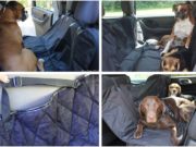 6 Best Dog Car Hammocks Best Dog Car Hammocks for Your Pet
