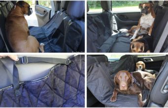 6 Best Dog Car Hammocks Best Dog Car Hammocks for Your Pet