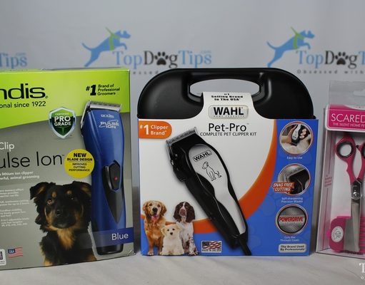 Best Dog Clippers Comparison: Andis vs. Wahl vs. Scaredy Cut Best Dog Clippers