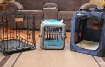 Best Dog Crate Comparison: MidWest vs. EliteField vs. SportPet Best Dog Crate Comparison