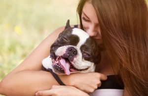 Effortlessly Chic: Meet the 20 Best Short Hair Breeds That Look Great with Minimal Grooming Best short hair dog breeds that are easy to groom