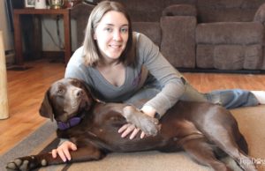 How to Check a Dog’s Vital Signs How to check a dogs vital signs