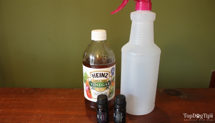 How to Make Homemade Flea Spray for Dogs (3 Non-toxic DIY Recipes) - Cat Flea Control Spray Homemade