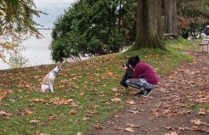 6 Tips on How to Take Great Photos of a Dog How To Take Great Photos of A Dog