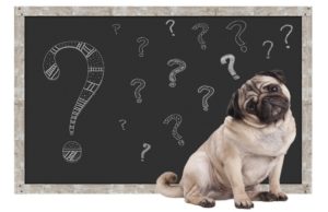 30 Myths That Many Dog Owners Still Believe Myths That Many Dog Owners Still Believe