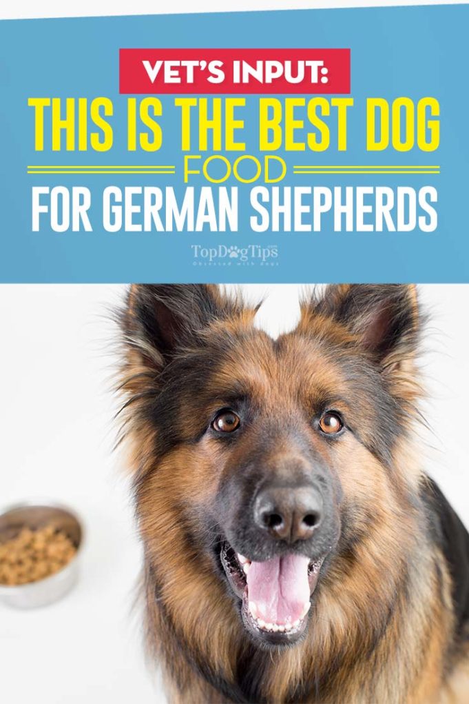 Best Dog Food For German Shepherds 8 Vet Recommended Brands