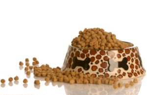 Understanding Dog Food: Do You Know What’s in There? Understanding Dog Food Do You Know What's In Your Dog's Kibble