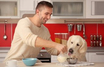 Top 5 Best Dog Food Toppings & Mixers best dog food toppings