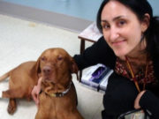 Finally – A New Cancer Drug That Increases Survival in Dogs New Cancer Drug Increases Survival in Dogs