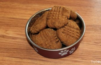 Healthy Pumpkin Cookie Dog Treat Recipe Healthy Pumpkin Cookie Dog Treat Recipe