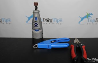 How to Choose the Best Dog Nail Clippers How To Choose the Right Dog Nail Clippers