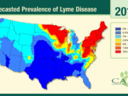 New Map Shows Where Dogs Are Most Likely to Get Lyme Disease New Lyme Disease Map Outlines Rising Prevalence of Ticks