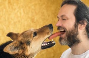 New Study: Dogs Share Food With Their Friends But Not Strangers New Study - Dogs Share Food With Their Friends But Not Strangers