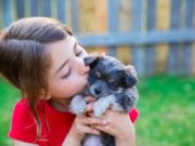 Study Shows Kids With Dogs Are Less Stressed Study Shows Kids With Dogs Are Less Stressed