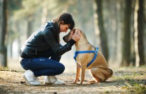 The Saga of Dog Ownership – A First-Hand Account The Saga of Pet Ownership